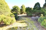 14338m² Land in San Martin de Valdeiglesias, Spain No. 93672 - Image 15