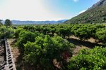 Land in Sagra, Spain No. 93906 - land in Spain