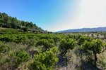 Land in Sagra, Spain No. 93906 - Image 2