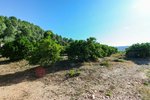 Land in Sagra, Spain No. 93906 - Image 3