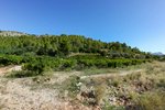 Land in Sagra, Spain No. 93906 - Image 5