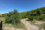 Land in Sagra, Spain No. 93906 - Image 6