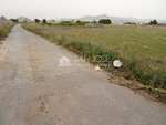 Land in Aspe, Spain No. 93928 - land in Spain