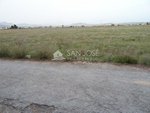 Land in Aspe, Spain No. 93928 - Image 6