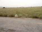 Land in Aspe, Spain No. 93928 - Image 8