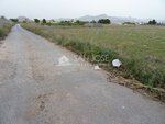 Land in Aspe, Spain No. 93928 - Image 10