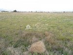 Land in Aspe, Spain No. 93928 - Image 11