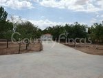 4 bedrooms House in Yecla, Spain No. 94855 - Image 28