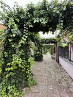 4 bedrooms House in Chartered Community of Navarre, Spain No. 95729 - Image 44