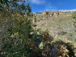 Land in Benitachell, Spain No. 95847 - Image 4
