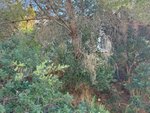 Land in Benitachell, Spain No. 95847 - Image 12