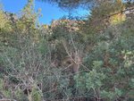 Land in Benitachell, Spain No. 95847 - Image 13