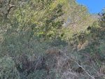 Land in Benitachell, Spain No. 95847 - Image 14