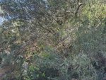 Land in Benitachell, Spain No. 95847 - Image 15