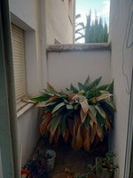 11 bedrooms House in Igualada, Spain No. 96271 - Image 14