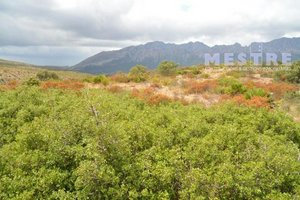 38000m² Land in Lliber, Spain No. 96789