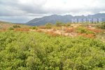 38000m² Land in Lliber, Spain No. 96789 - land in Spain