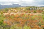 38000m² Land in Lliber, Spain No. 96789 - Image 2