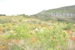 38000m² Land in Lliber, Spain No. 96789 - Image 4