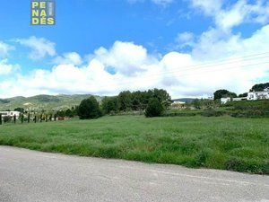 12000m² Land in Ontinyent, Spain No. 97054