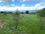 12000m² Land in Ontinyent, Spain No. 97054 - Image 2