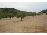 130672m² Land in Sax, Spain No. 97057 - Image 2