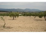 130672m² Land in Sax, Spain No. 97057 - Image 3
