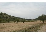 130672m² Land in Sax, Spain No. 97057 - Image 4