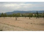 130672m² Land in Sax, Spain No. 97057 - Image 5