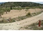 130672m² Land in Sax, Spain No. 97057 - Image 6