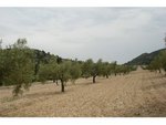 130672m² Land in Sax, Spain No. 97057 - Image 7