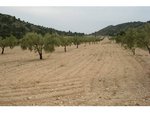 130672m² Land in Sax, Spain No. 97057 - Image 8