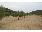 130672m² Land in Sax, Spain No. 97057 - Image 9