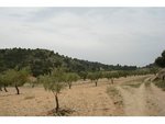 130672m² Land in Sax, Spain No. 97057 - Image 10