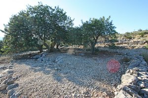 Land in Benimeli, Spain No. 97153