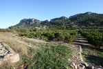 Land in Benimeli, Spain No. 97153 - Image 3