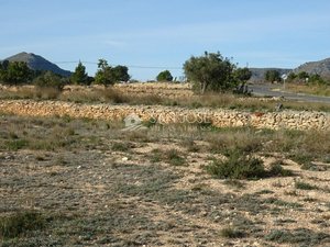 23000m² Land in Hondon De Las Nieves, Spain No. 97809