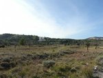 23000m² Land in Hondon De Las Nieves, Spain No. 97809 - Image 2