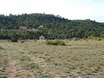 23000m² Land in Hondon De Las Nieves, Spain No. 97809 - Image 6