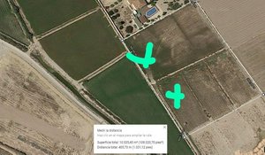 10000m² Land in Dolores, Spain No. 98762