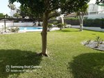 3 bedrooms Villa in Genoves, Spain No. 9877 - Image 5