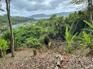 16495m² Commercial property in Patong, Thailand No. 12498