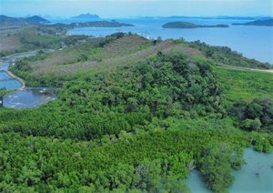 58582m² Commercial property in Pa Klok, Thailand No. 12559