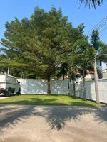 3 bedrooms Cafe / restaurant in Pattaya, Thailand No. 22430 - Image 10