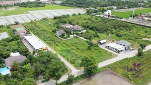 Land in San Kamphaeng, Thailand No. 23374