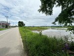 Land in San Kamphaeng, Thailand No. 23374 - Image 13