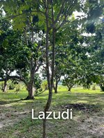 Commercial property in Surat Thani, Thailand No. 24901 - Image 7