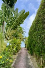 3 bedrooms Cafe / restaurant in Ko Samui, Thailand No. 24909 - Image 3