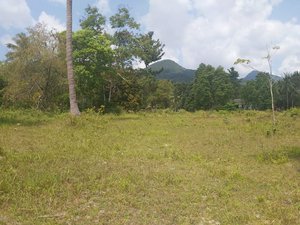 2500 bedrooms Commercial property in Koh Pha Ngan, Thailand No. 25043