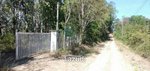 Commercial property in Mae Taeng, Thailand No. 25132 - commercial property in Thailand